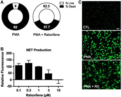 The Selective Estrogen Receptor Modulator Raloxifene Inhibits Neutrophil Extracellular Trap Formation